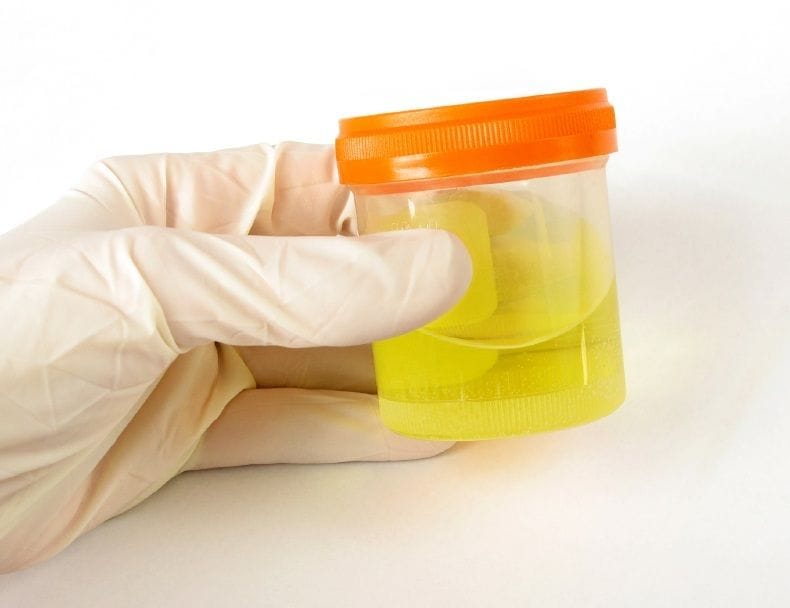 HR Highlight: Drugs at Work